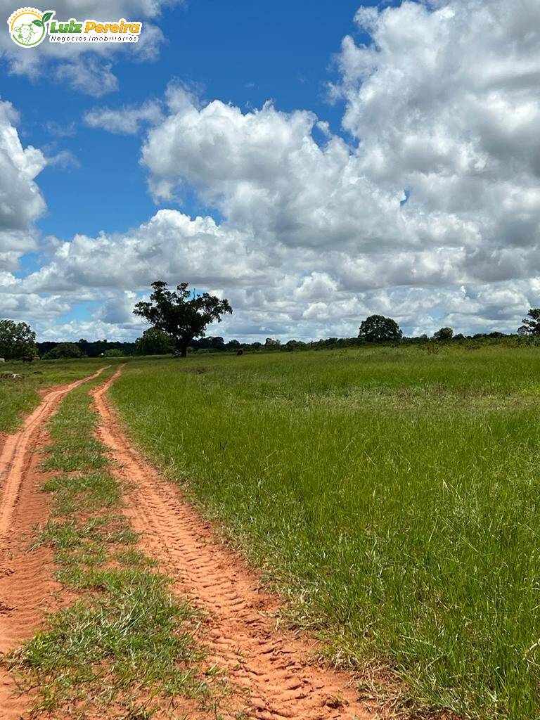 Fazenda à venda, 2000000m² - Foto 12