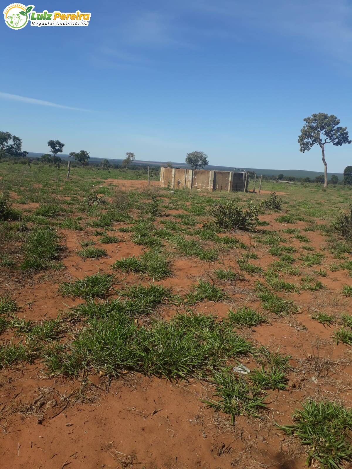 Fazenda à venda, 2000000m² - Foto 16