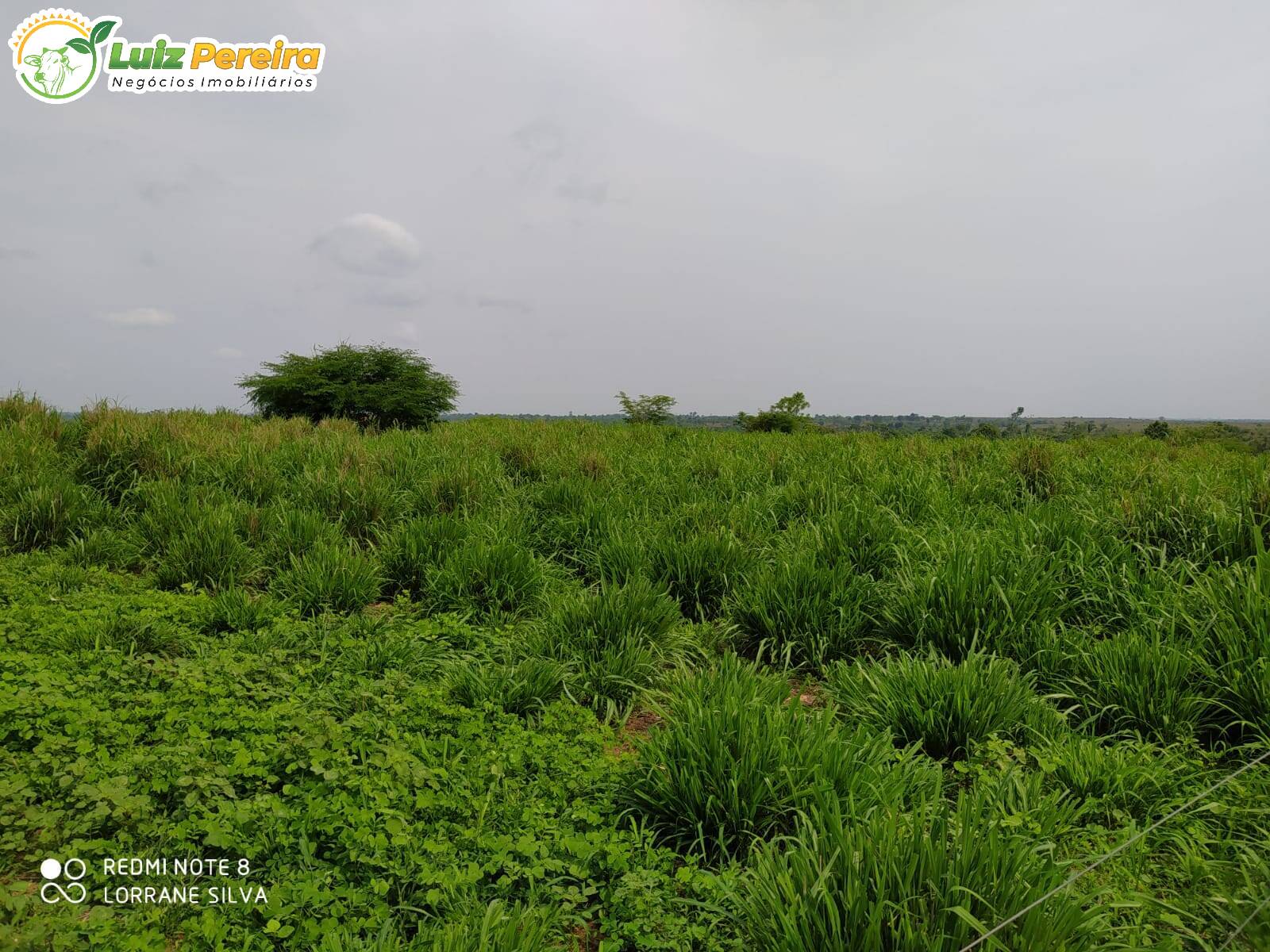 Fazenda à venda, 4540000m² - Foto 8