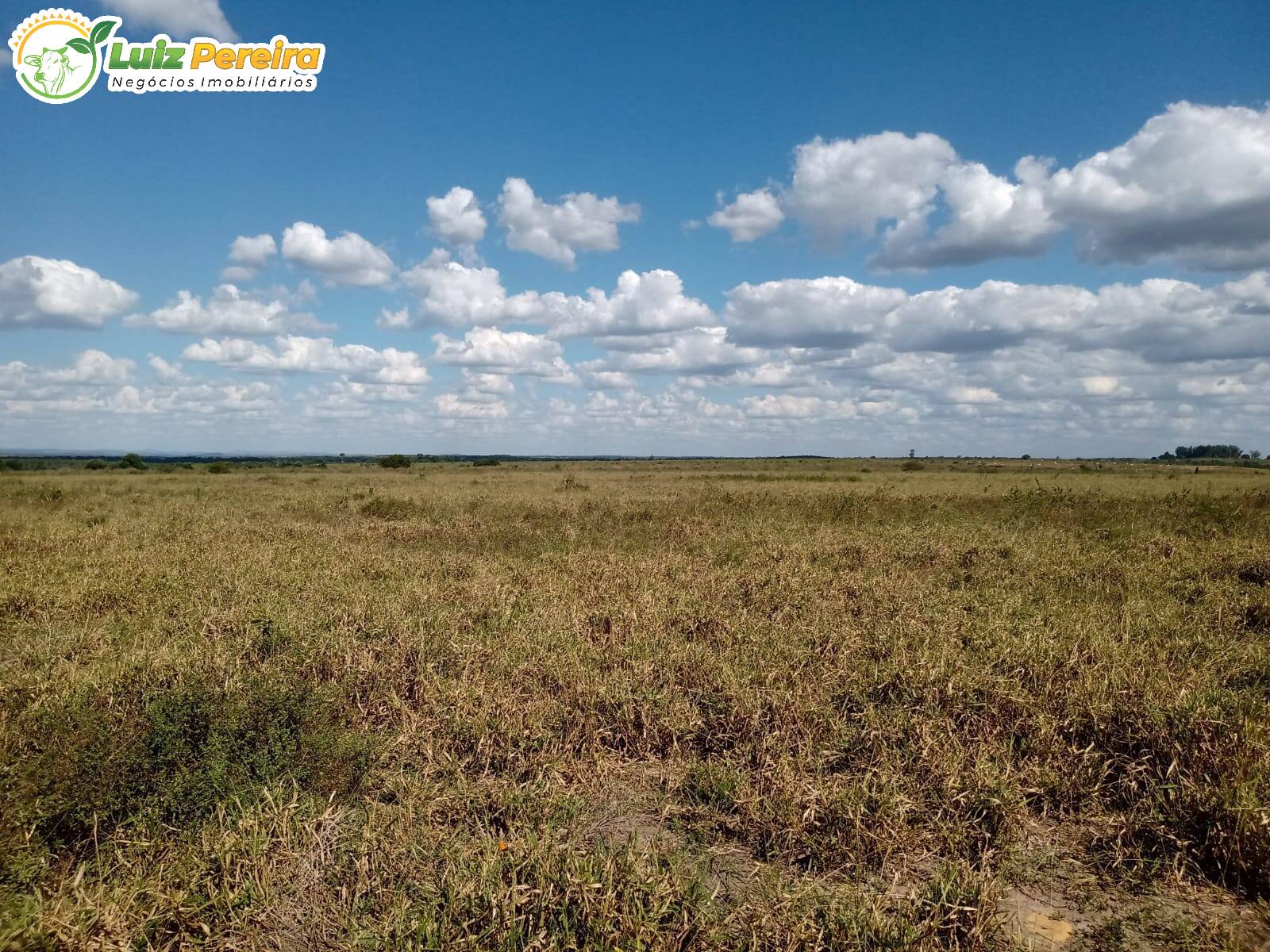 Fazenda à venda, 4540000m² - Foto 12