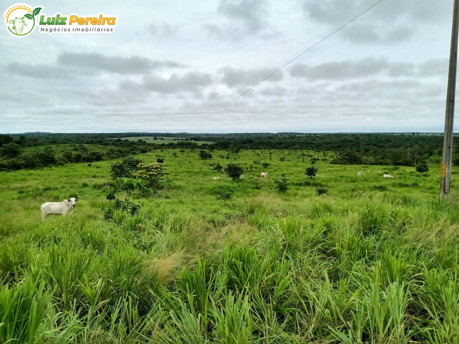 Fazenda à venda, 4540000m² - Foto 9