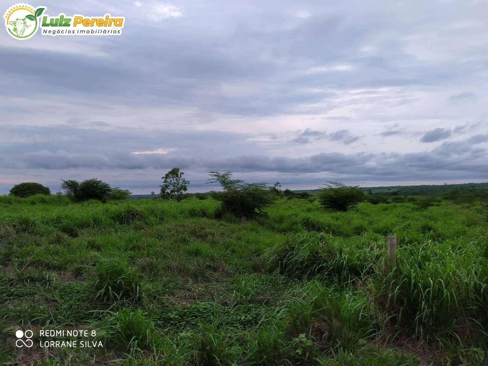 Fazenda à venda, 4540000m² - Foto 5