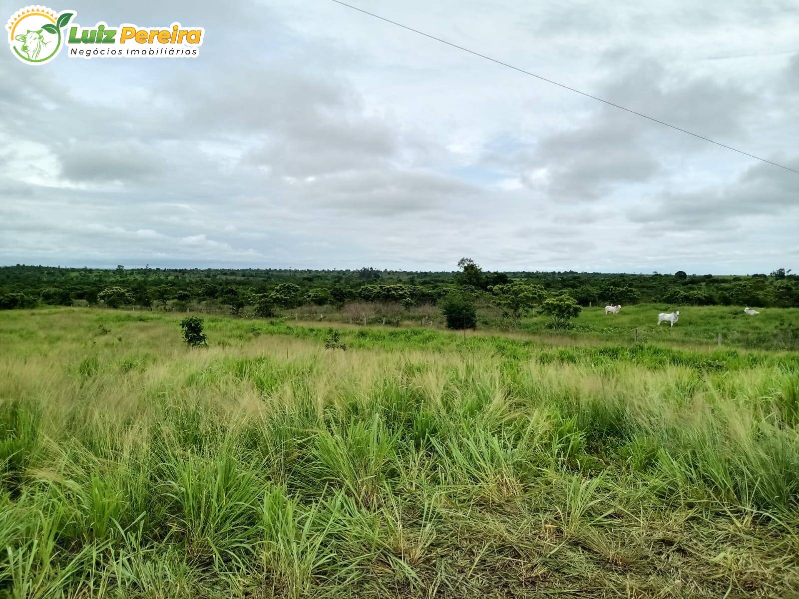 Fazenda à venda, 4540000m² - Foto 6