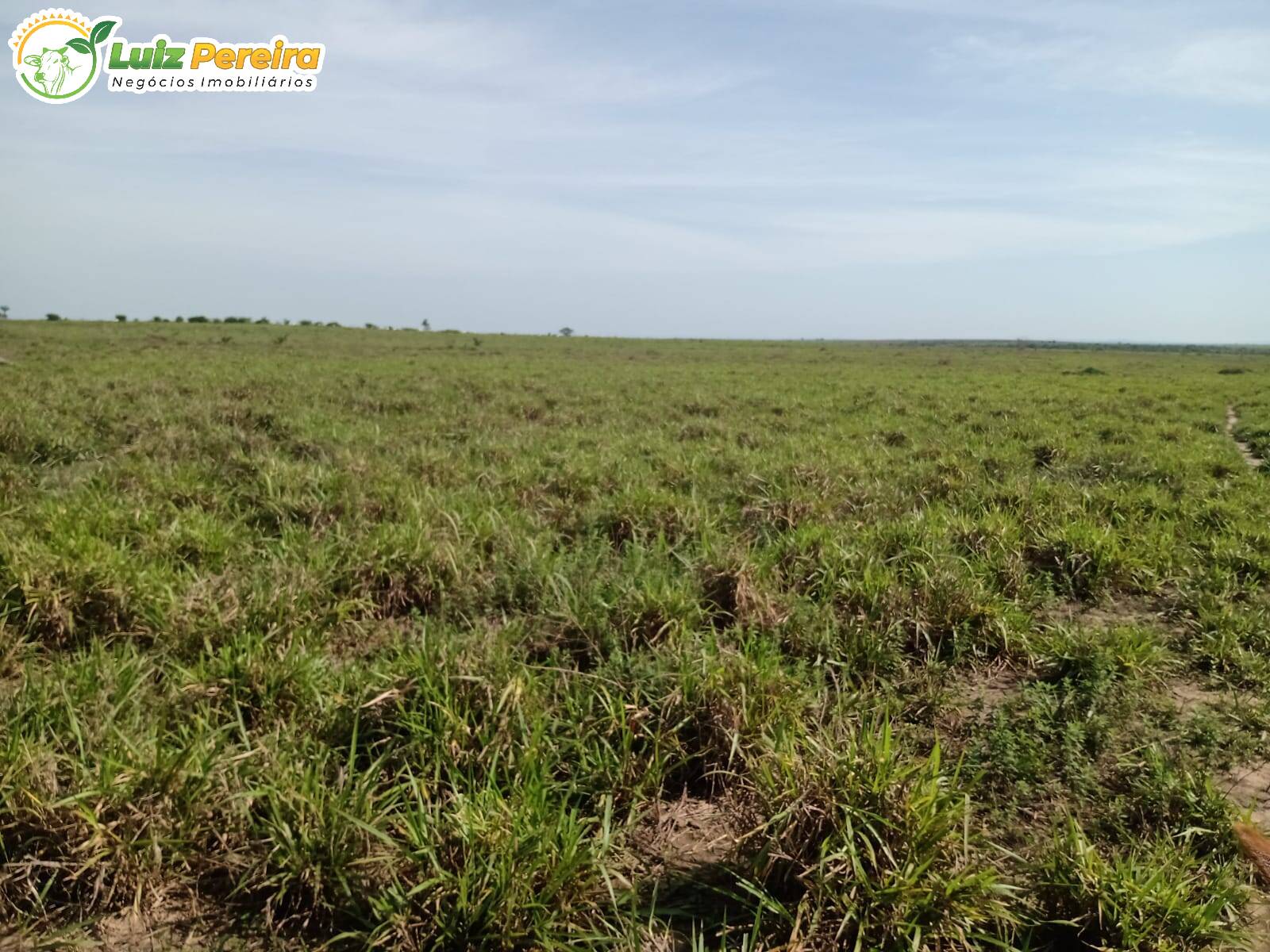 Fazenda à venda, 4540000m² - Foto 17