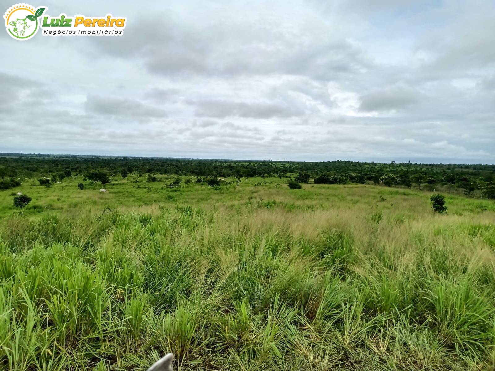 Fazenda à venda, 4540000m² - Foto 7