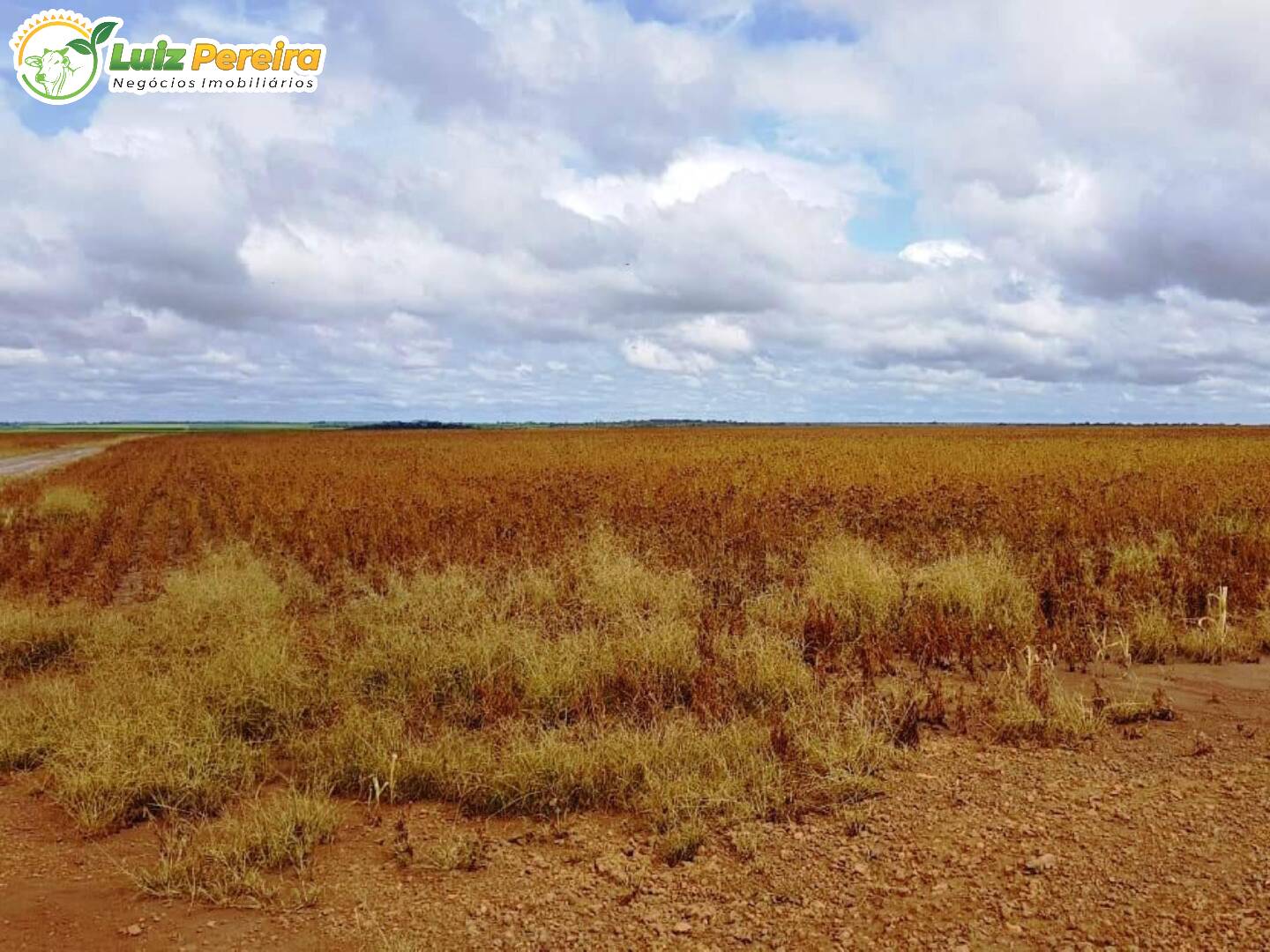 Fazenda à venda, 329296000m² - Foto 36