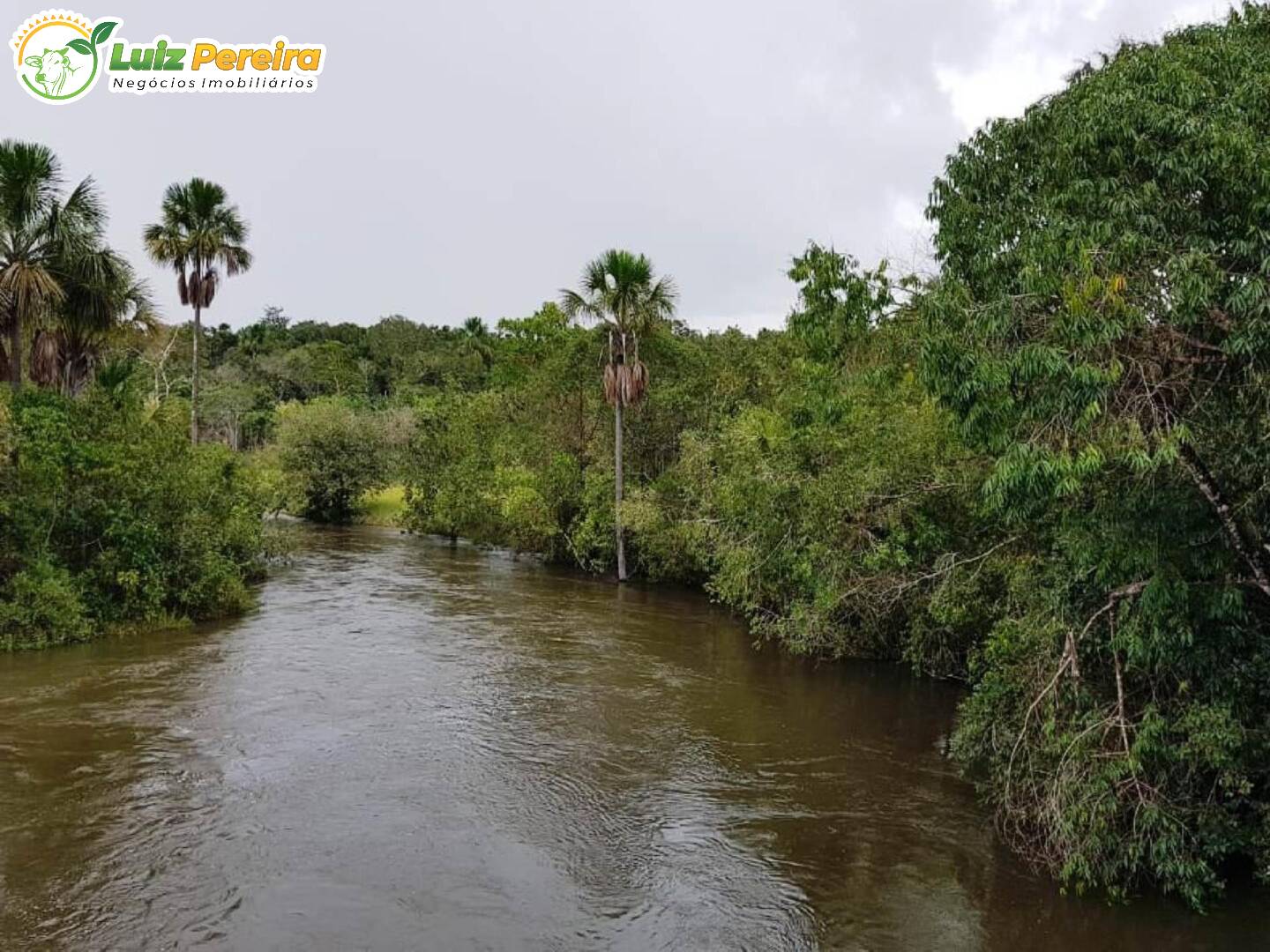 Terreno à venda, 329296000m² - Foto 41