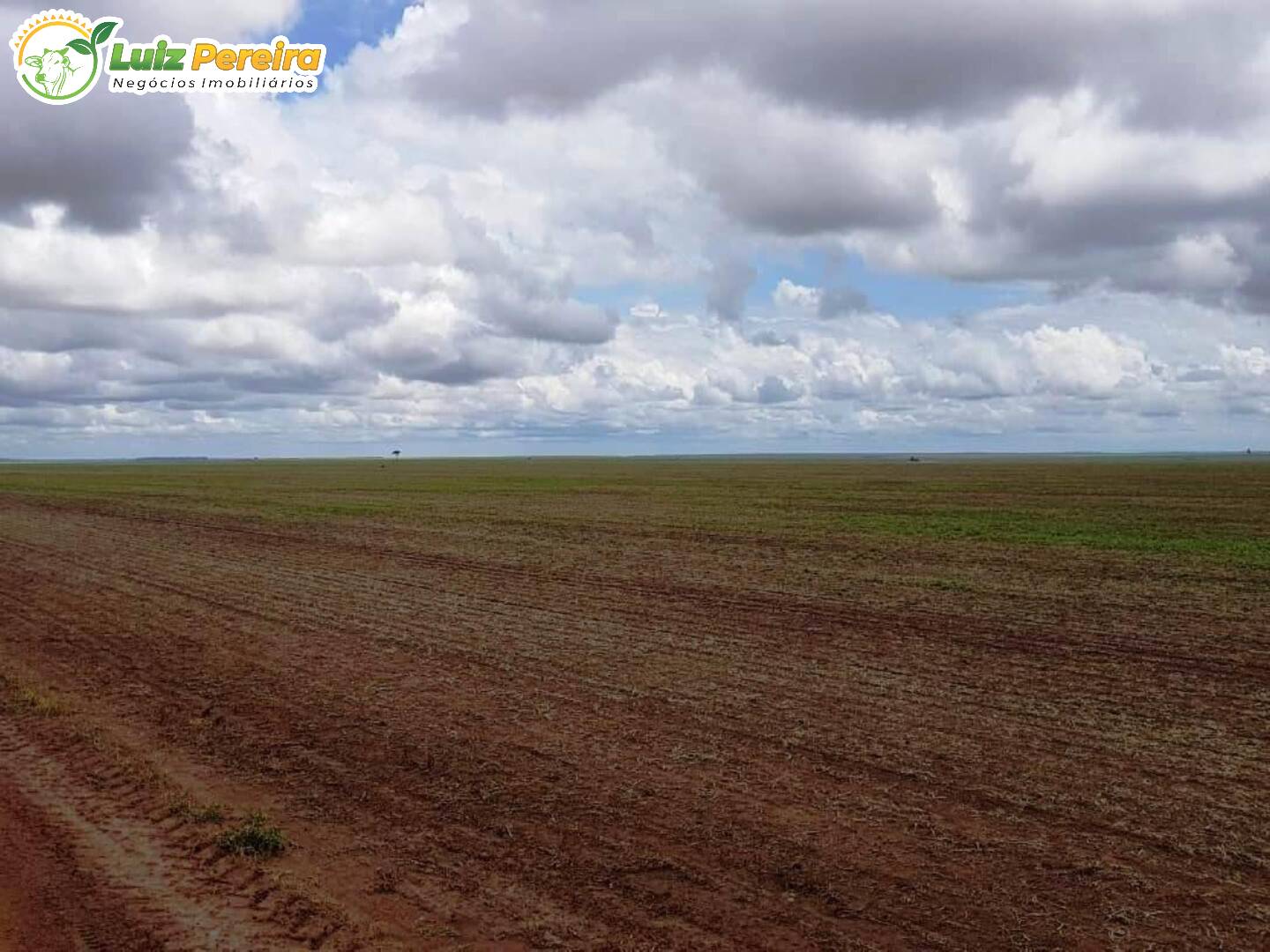 Fazenda à venda, 329296000m² - Foto 69