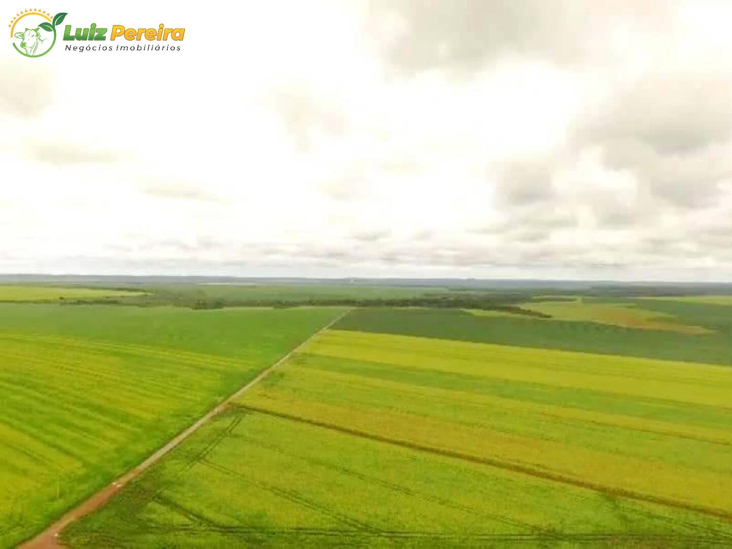 Fazenda à venda, 329296000m² - Foto 8