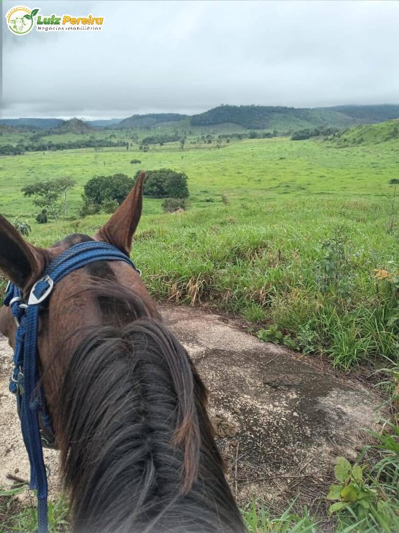 Fazenda-Sítio-Chácara, 1210 hectares - Foto 4