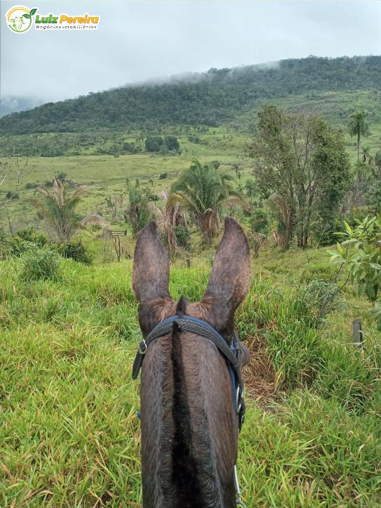 Fazenda à venda, 12100000m² - Foto 3