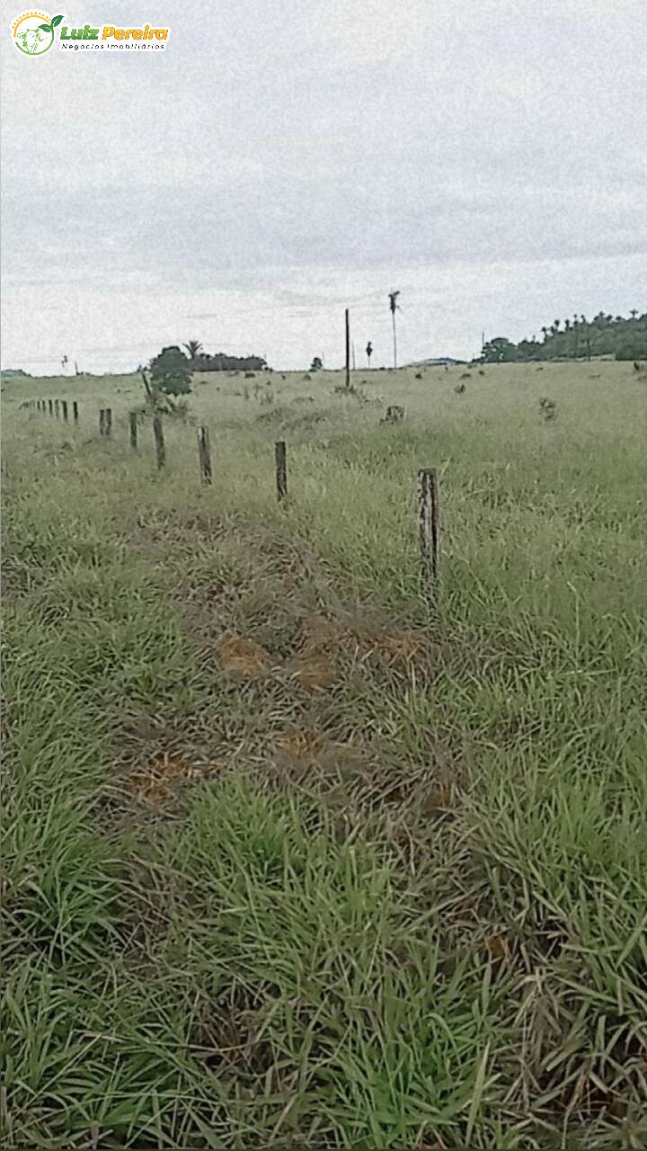 Fazenda-Sítio-Chácara, 1210 hectares - Foto 2