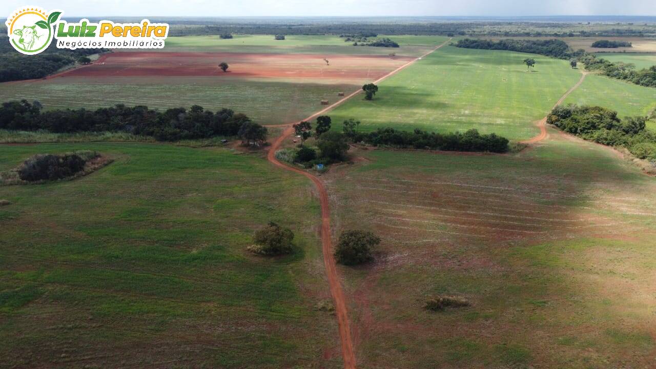 Fazenda-Sítio-Chácara, 1247 hectares - Foto 2