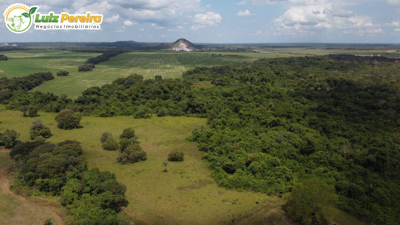 Fazenda-Sítio-Chácara, 1247 hectares - Foto 1