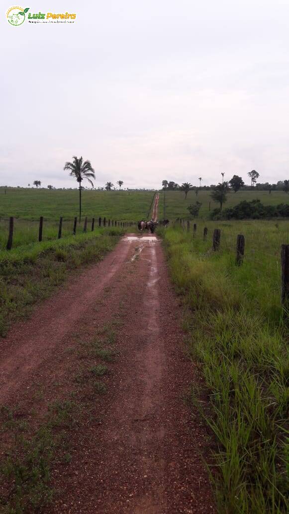 Fazenda à venda, 16214000m² - Foto 12