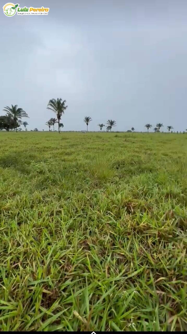 Fazenda à venda, 16214000m² - Foto 7