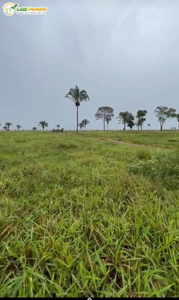 Fazenda à venda, 16214000m² - Foto 5