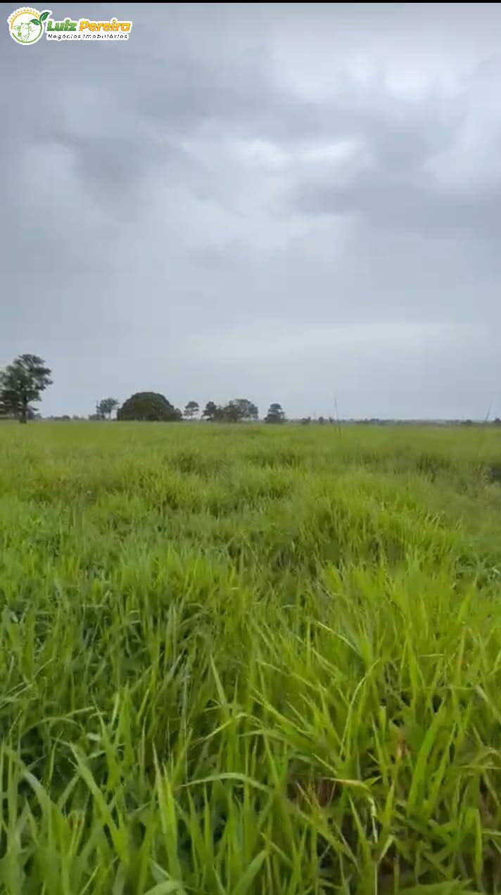 Fazenda à venda, 16214000m² - Foto 6