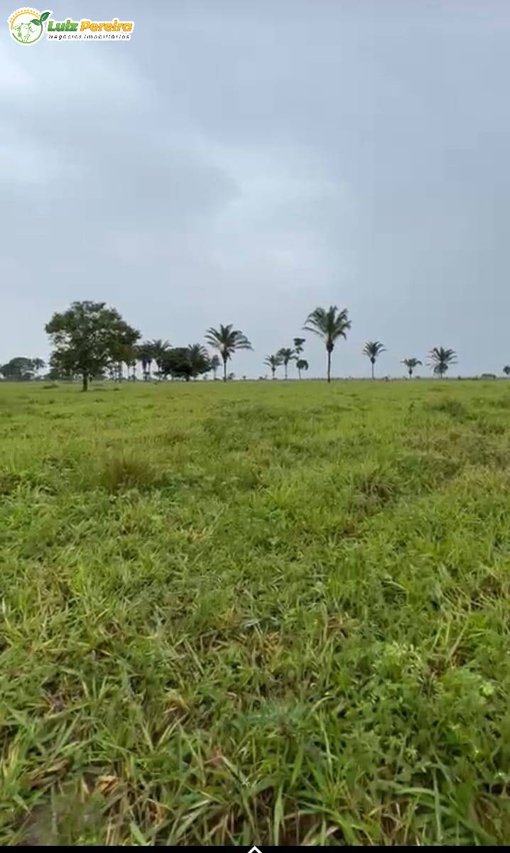 Fazenda à venda, 16214000m² - Foto 8