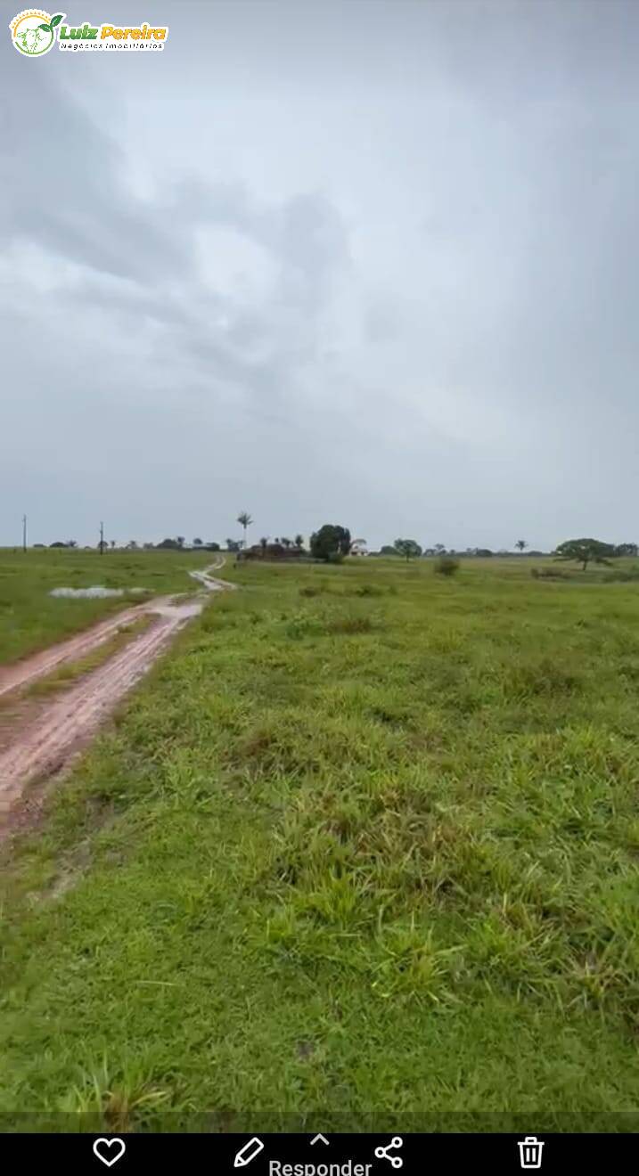 Fazenda à venda, 16214000m² - Foto 13