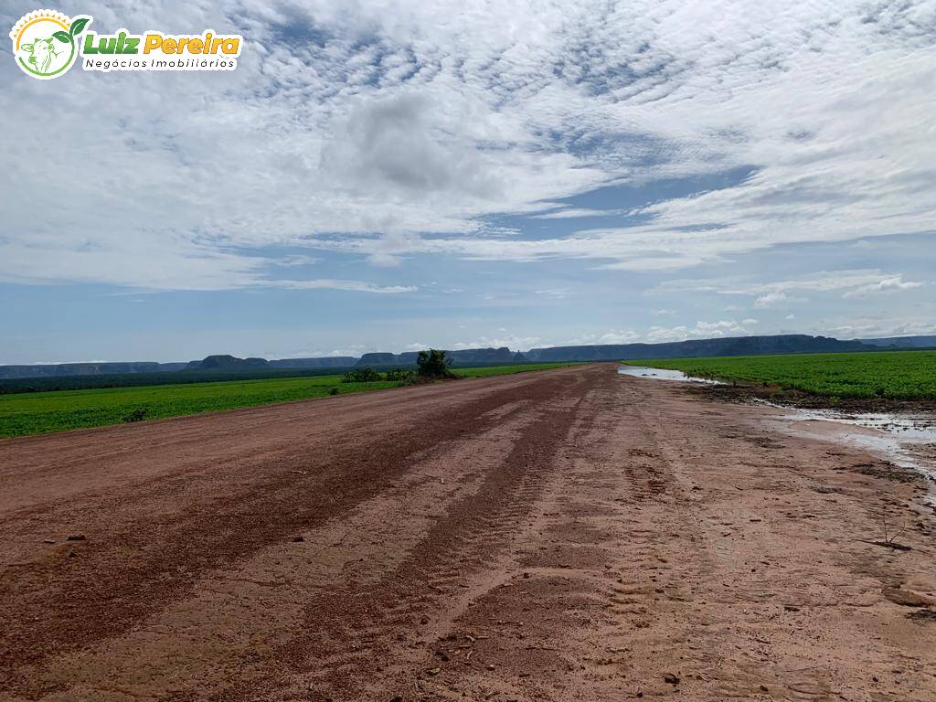 Fazenda à venda, 61000000m² - Foto 8