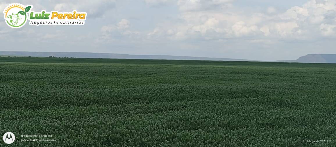 Fazenda à venda, 61000000m² - Foto 6