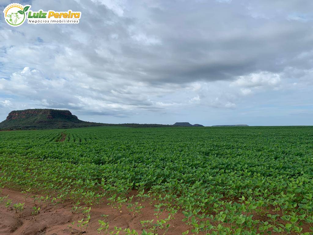 Fazenda à venda, 61000000m² - Foto 7