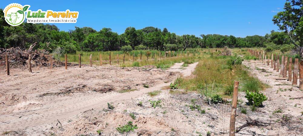 Fazenda à venda, 198000000m² - Foto 12