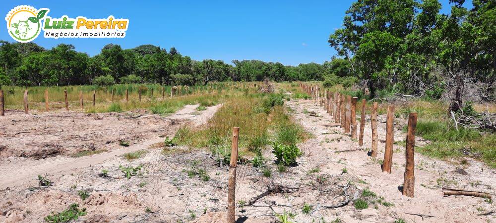 Fazenda à venda, 198000000m² - Foto 11