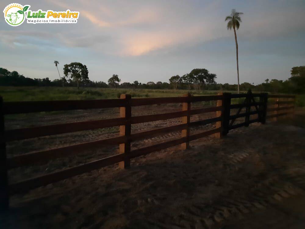 Fazenda à venda, 198000000m² - Foto 5