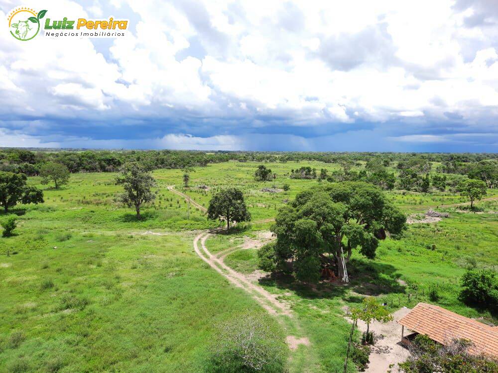 Fazenda à venda, 198000000m² - Foto 3