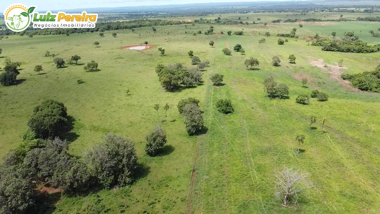 Fazenda-Sítio-Chácara, 460 hectares - Foto 2