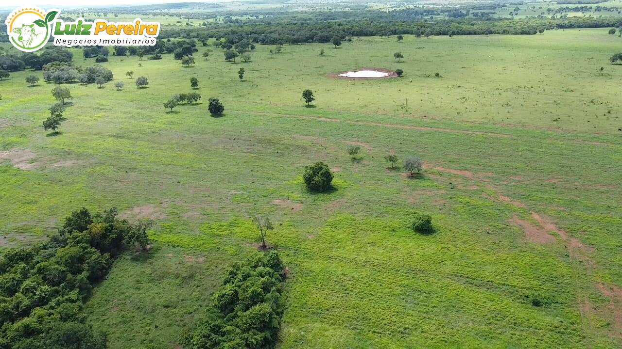 Fazenda-Sítio-Chácara, 460 hectares - Foto 3