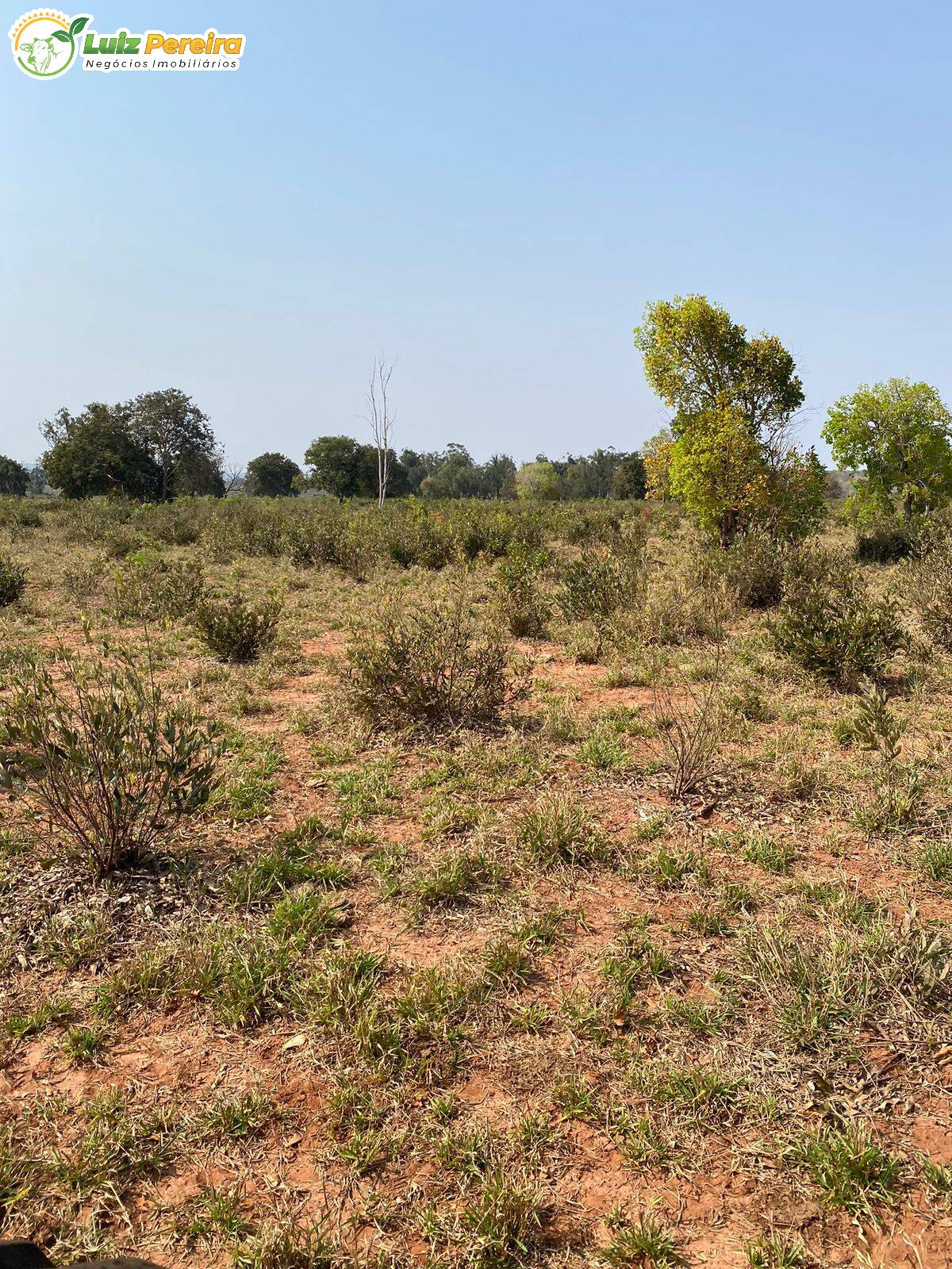 Fazenda à venda, 5100000m² - Foto 6