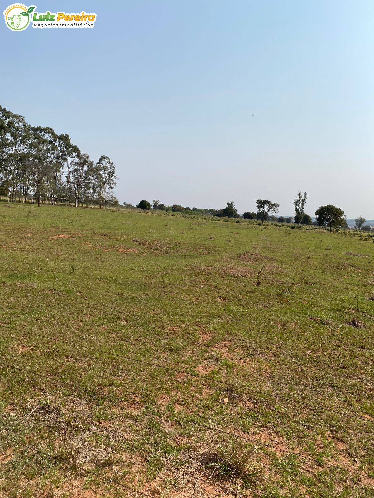 Fazenda-Sítio-Chácara, 510 hectares - Foto 1