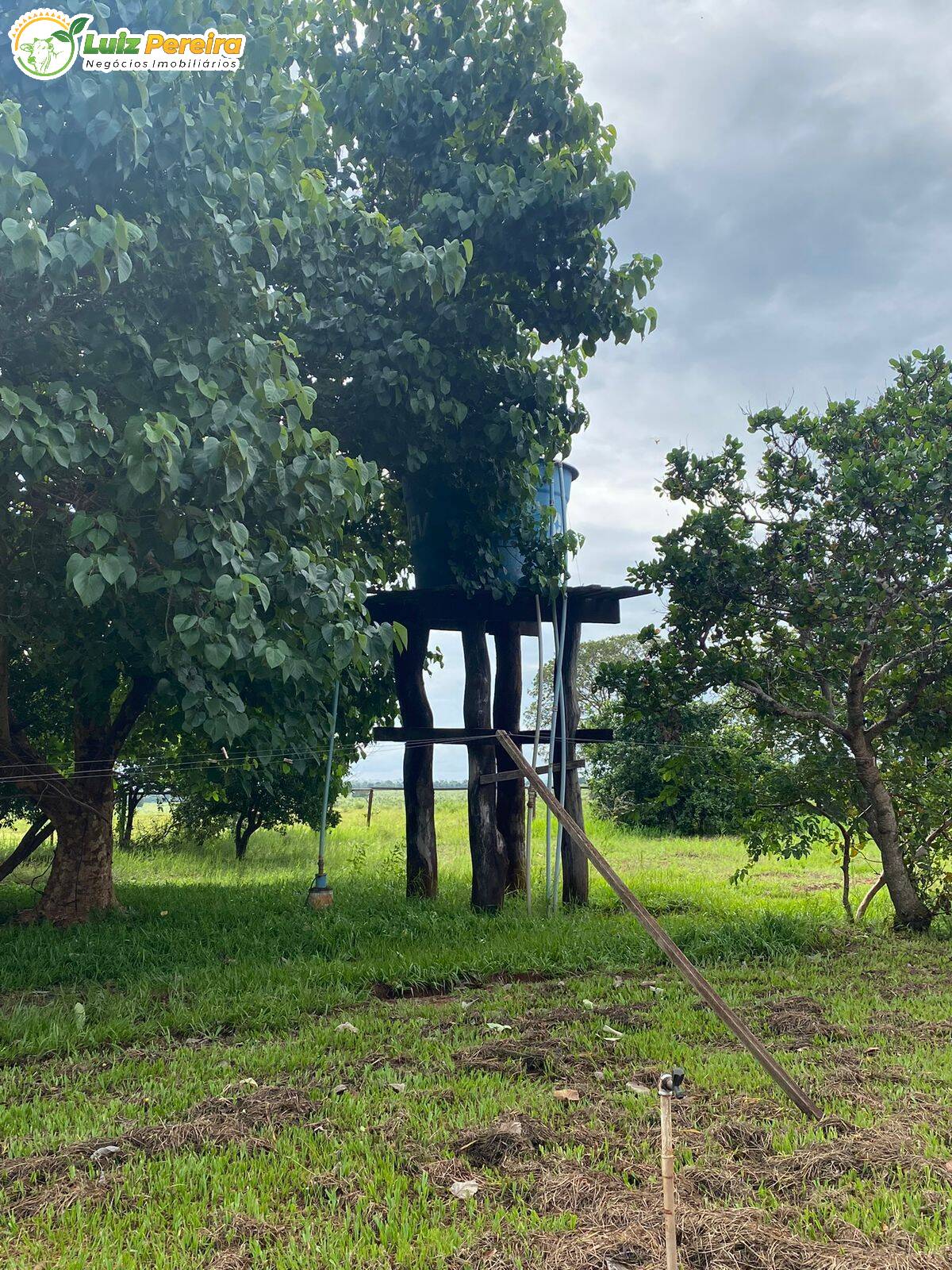 Fazenda à venda, 5100000m² - Foto 7