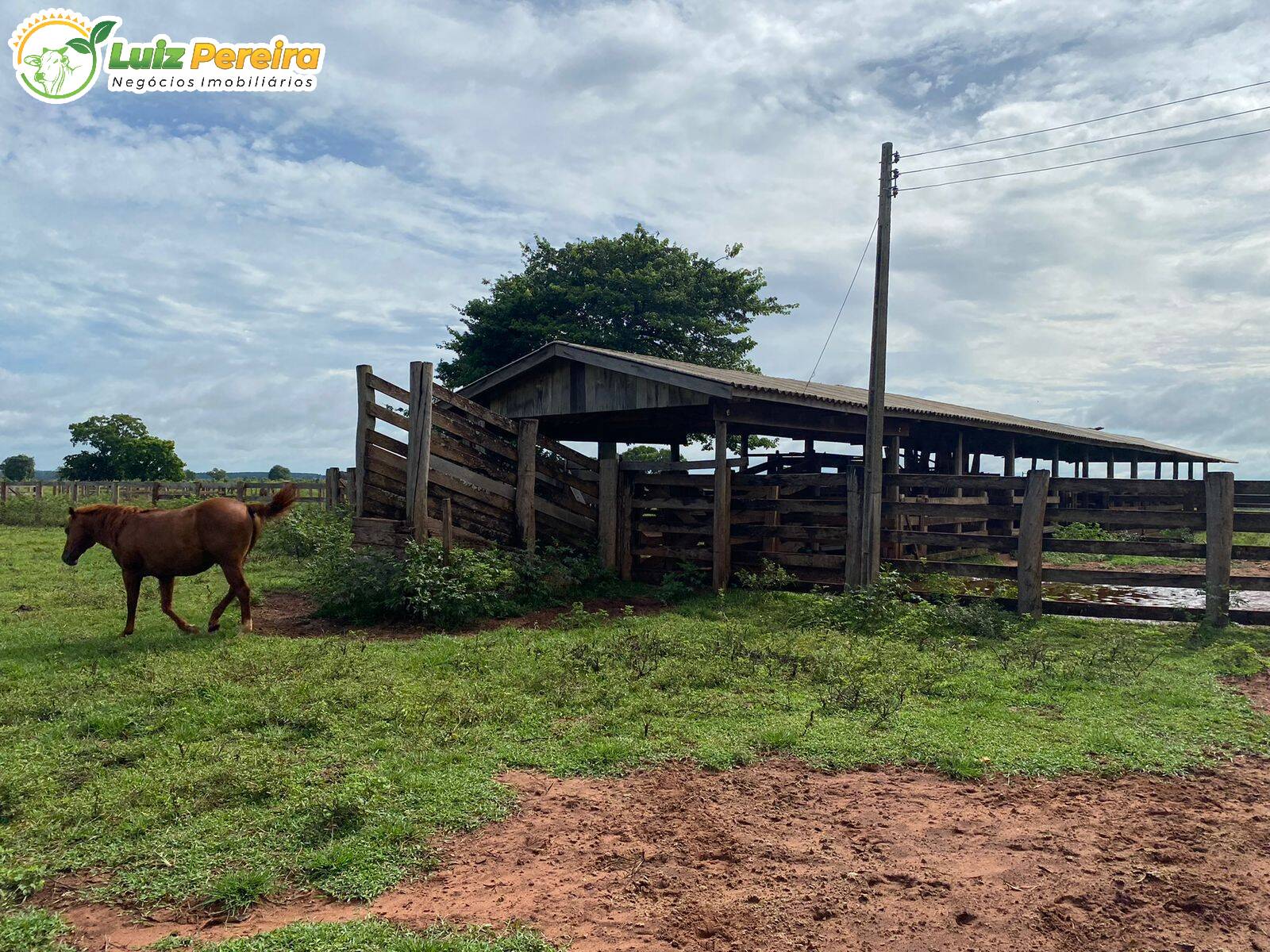 Fazenda à venda, 5100000m² - Foto 13