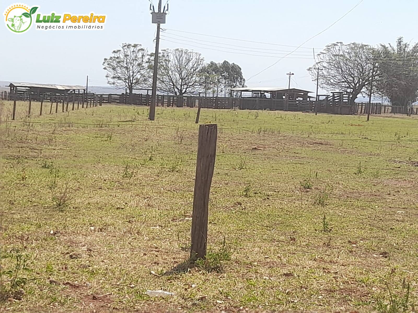 Fazenda à venda, 12500000m² - Foto 6