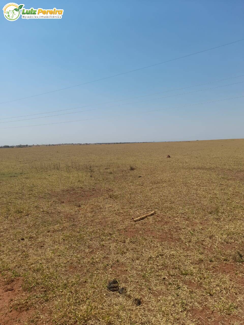 Fazenda à venda, 12500000m² - Foto 4