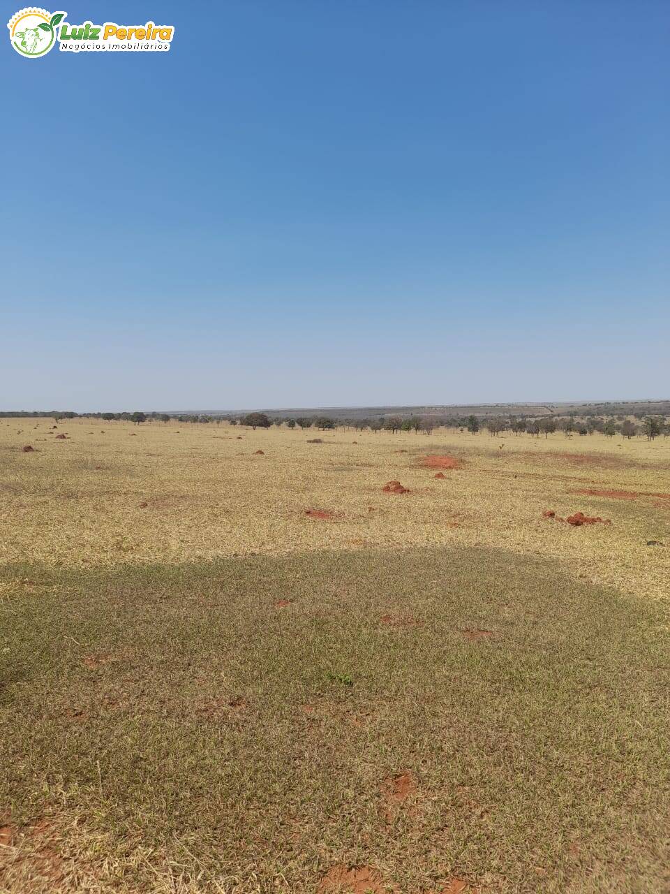 Fazenda à venda, 12500000m² - Foto 3