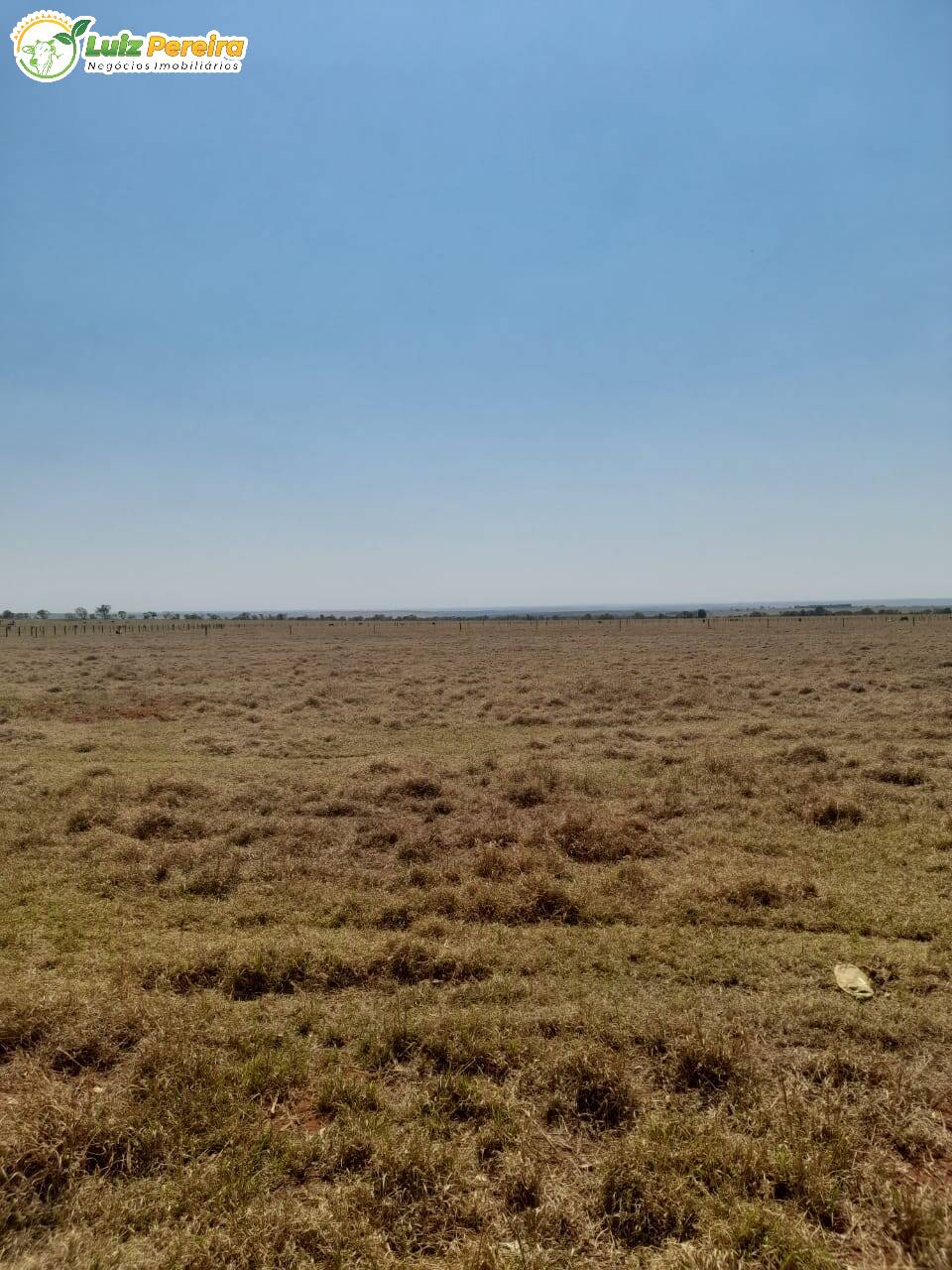 Fazenda à venda, 12500000m² - Foto 2