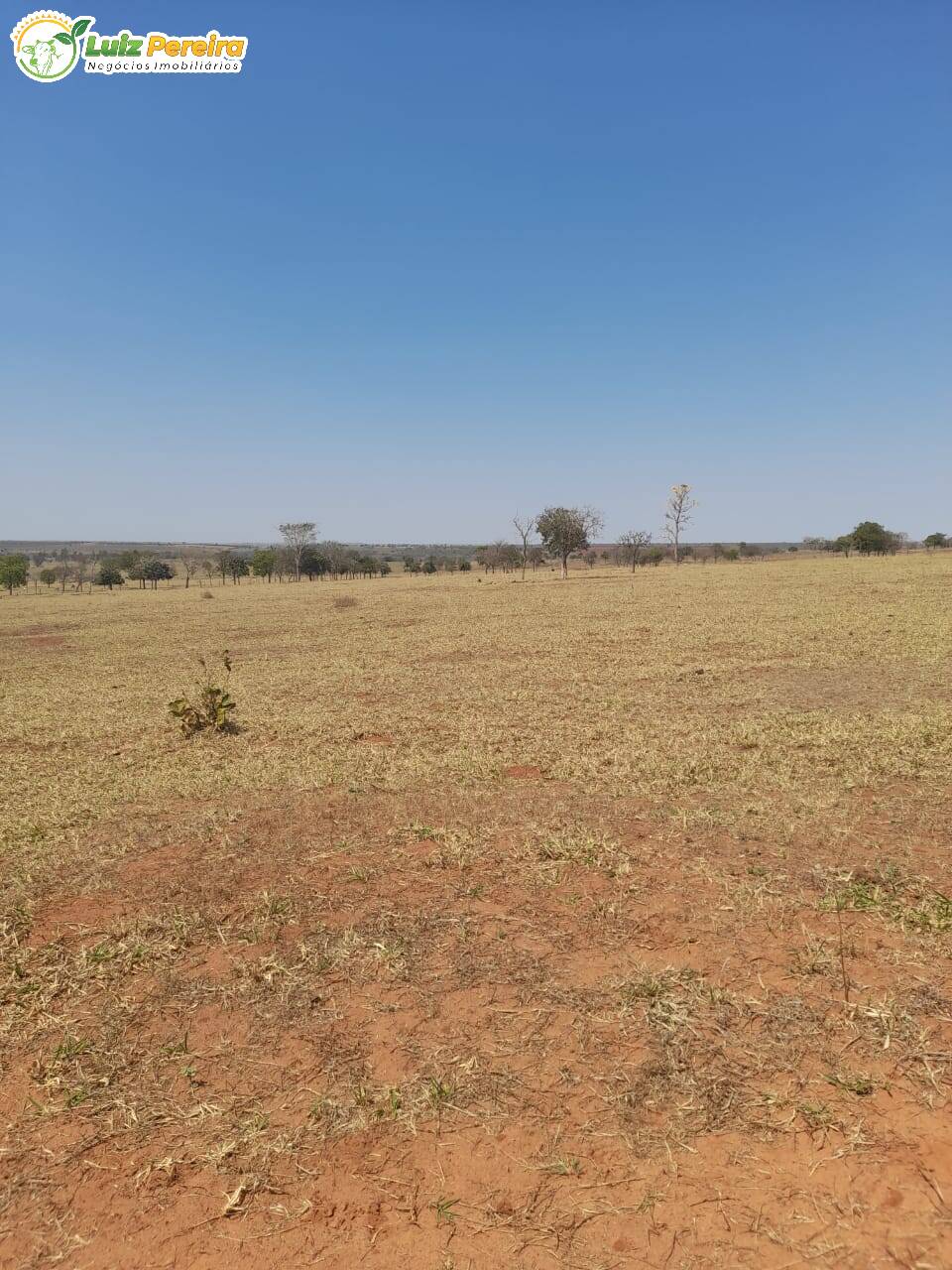 Fazenda à venda, 12500000m² - Foto 1