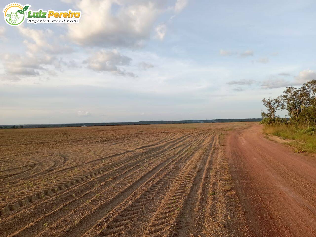 Fazenda-Sítio-Chácara, 1181 hectares - Foto 1