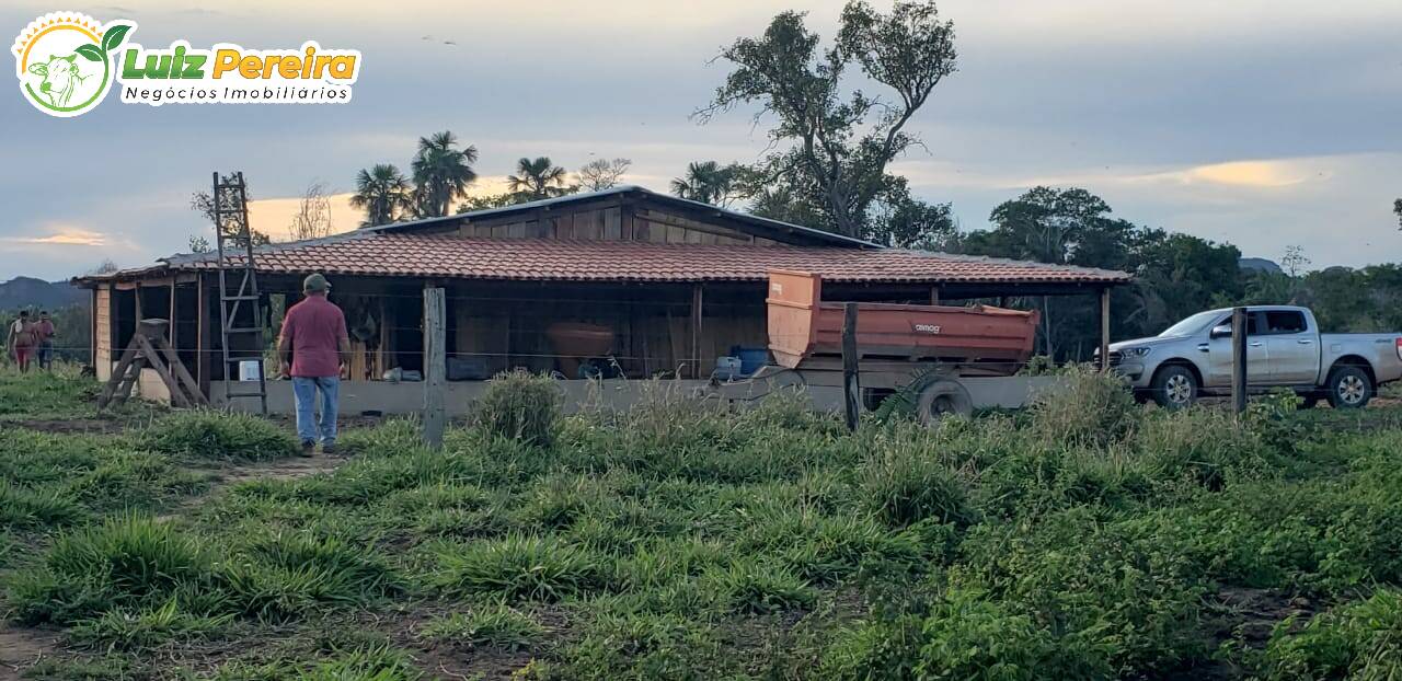 Fazenda à venda, 56240000m² - Foto 12