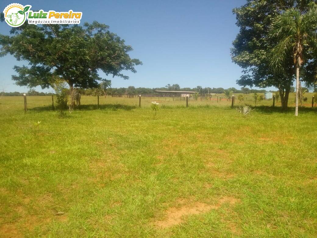 Fazenda-Sítio-Chácara, 300 hectares - Foto 1