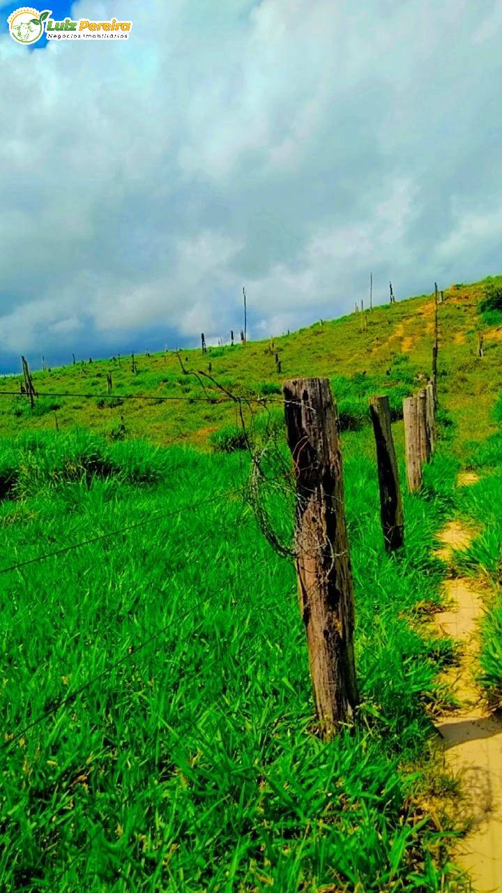 Fazenda à venda, 5227200m² - Foto 5