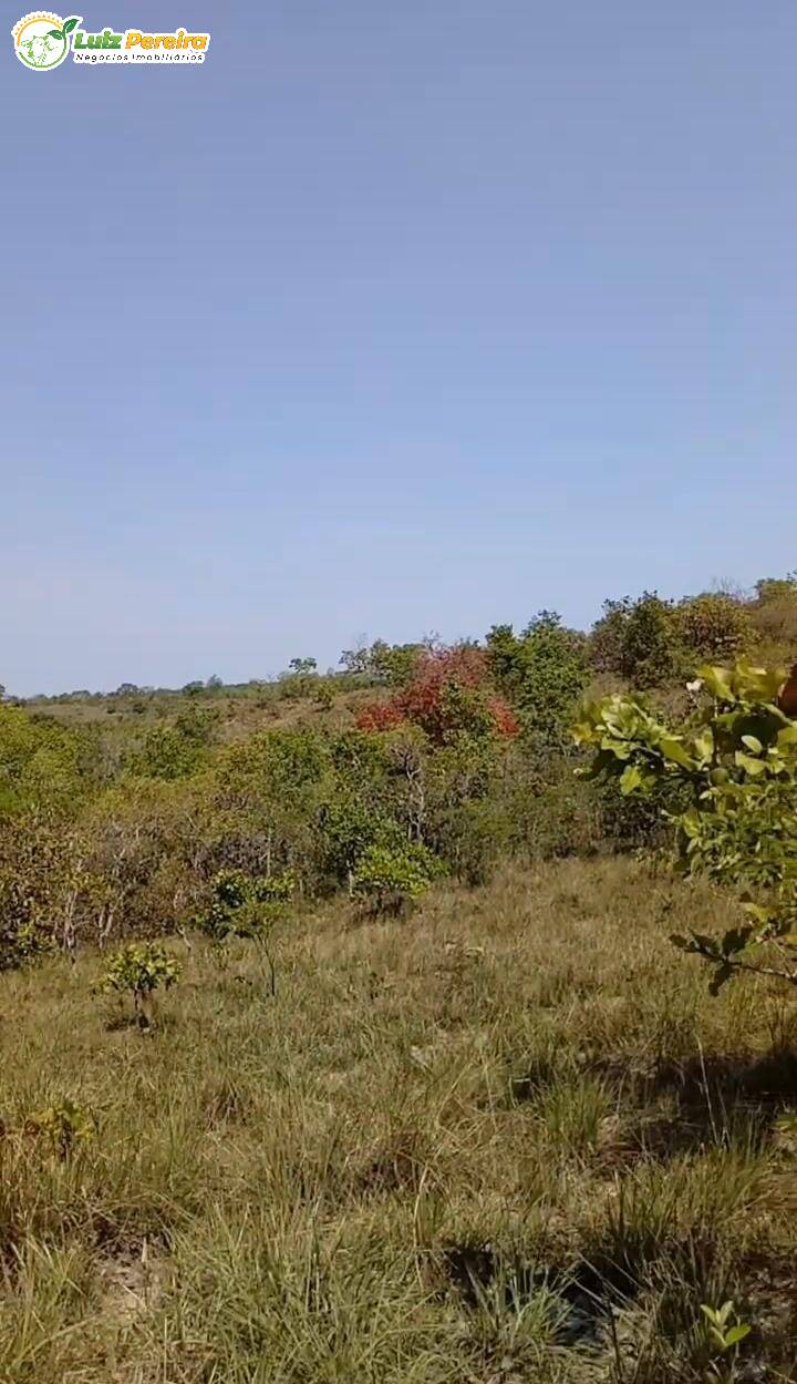 Fazenda à venda, 3600000m² - Foto 5