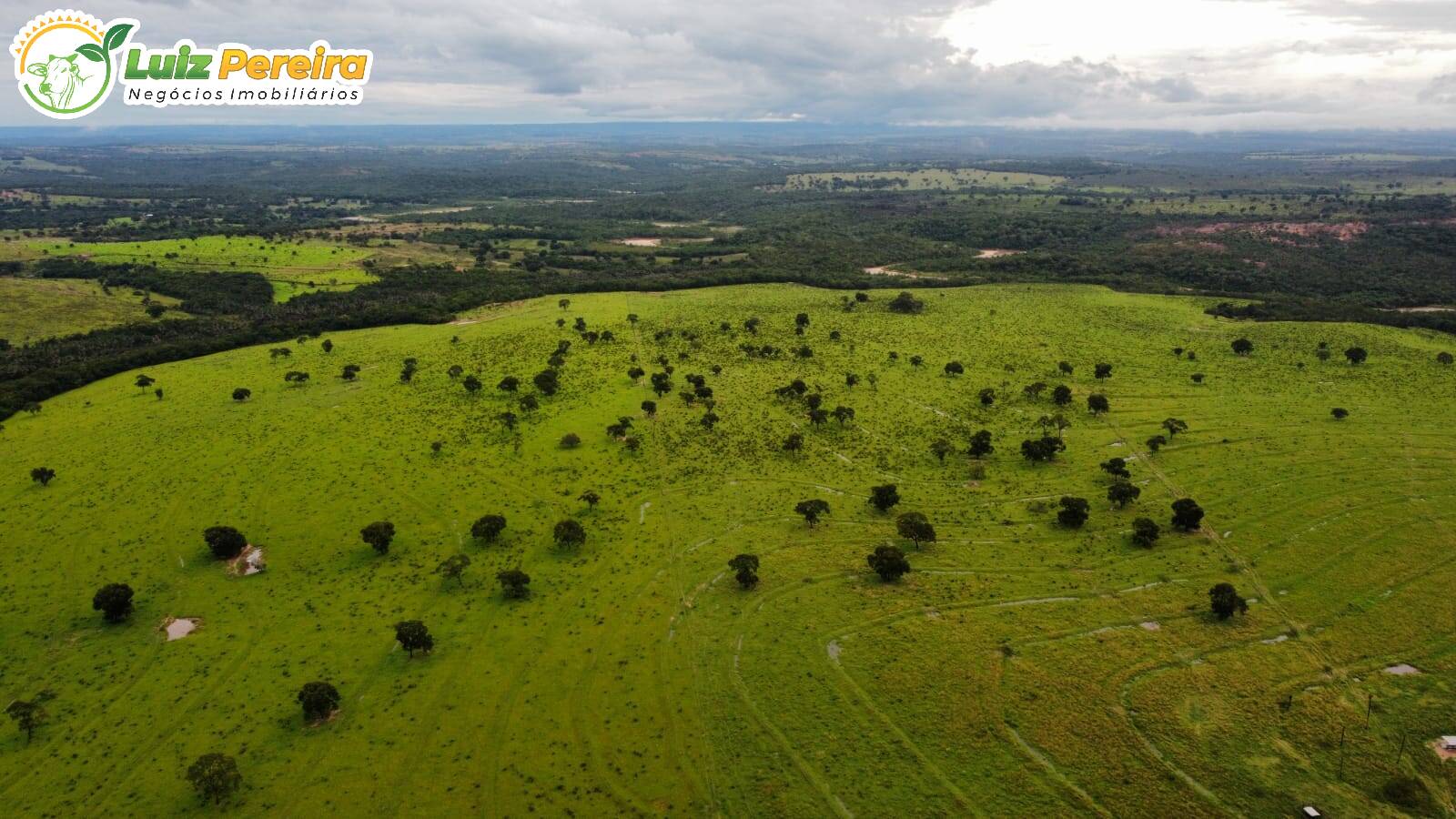 Fazenda à venda, 8655700m² - Foto 2