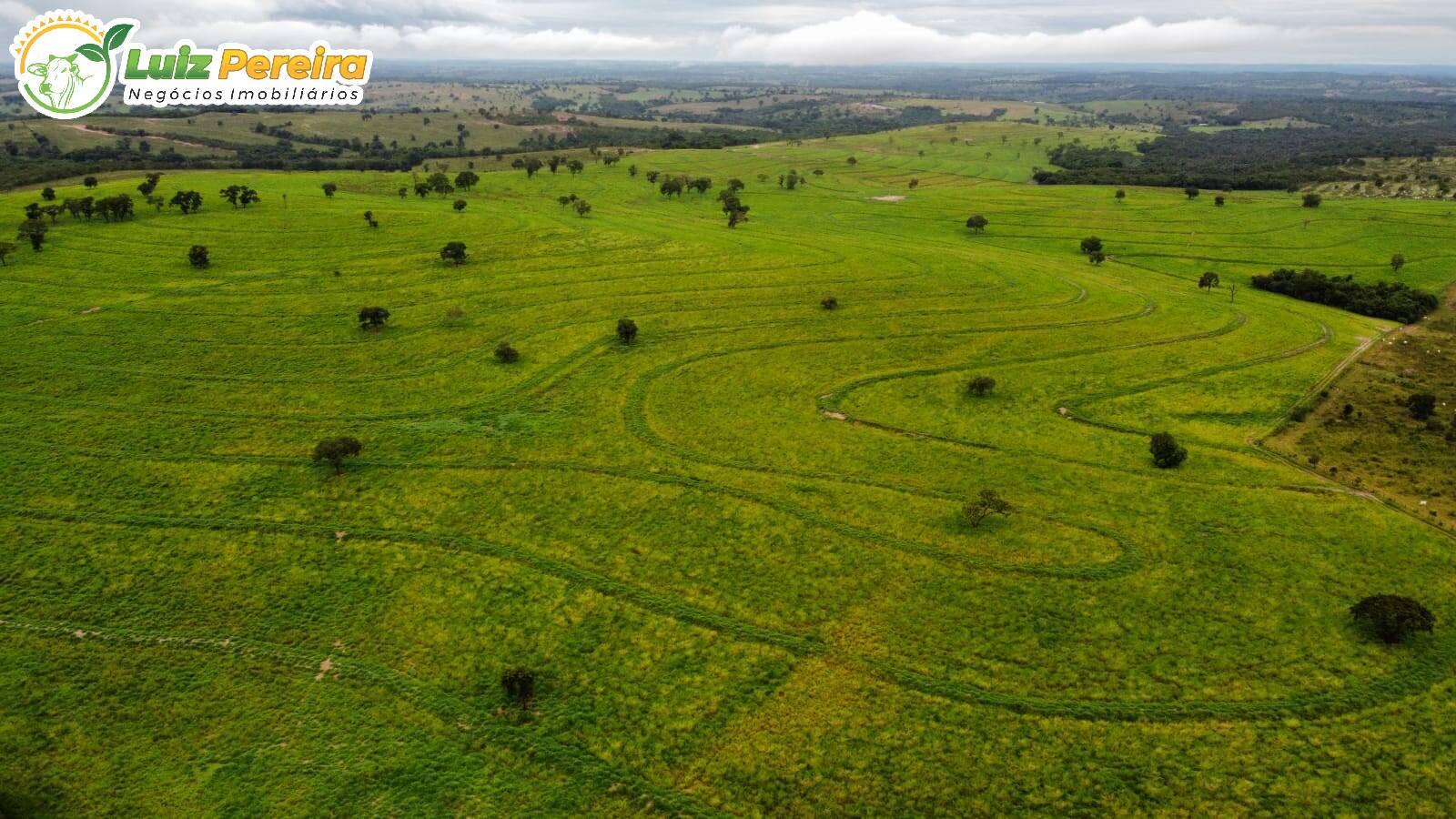 Fazenda à venda, 8655700m² - Foto 3