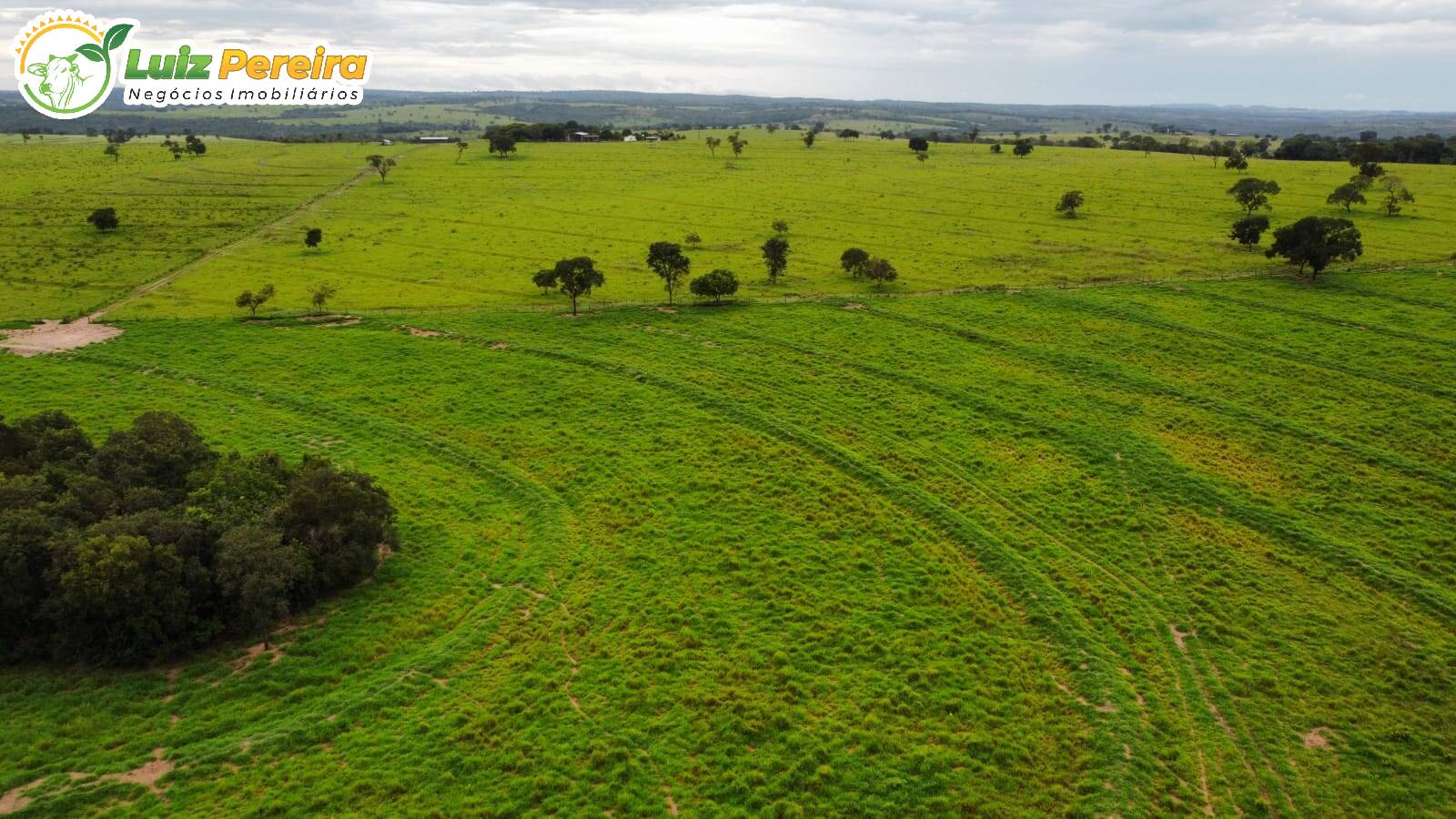 Fazenda à venda, 8655700m² - Foto 5